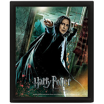 Harry Potter 3D: Snape – obraz