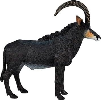 Mojo – Antilopa vraná