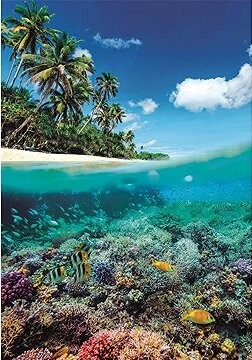 CLEMENTONI Puzzle Letný raj 1000 dielikov