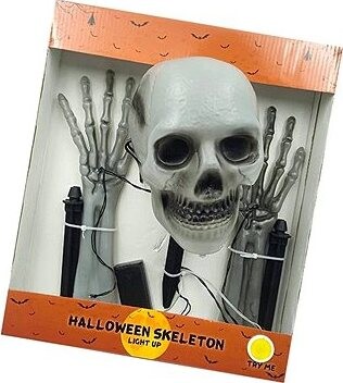 Excellent Svietiaca lebka s hnátmi