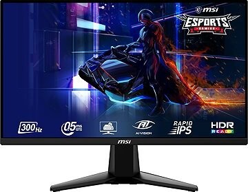 24.5" MSI MAG 255XF