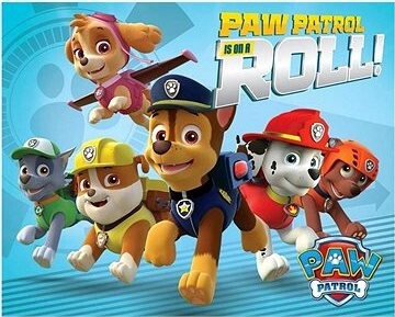 Paw Patrol: Team Is On A Roll 40 × 50 cm