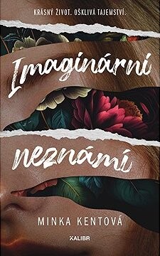 Imaginární neznámí