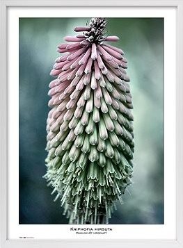 TRADAG Natura 50 x 70 biely