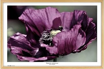 TRADAG Natura 70 x 100 prírodný