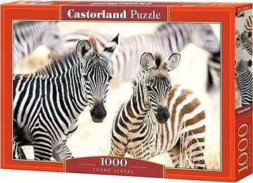 CASTORLAND Puzzle Mladé zebry 1000 dielikov