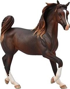 Collecta kôň Arabská kobyla