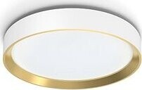 Philips Hanno stropné svietidlo LED, 24 W, 2800 lm, 4000 K, SceneSwitch, biele/zlaté