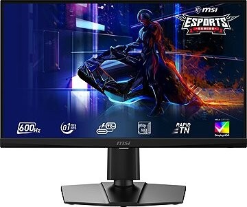 24" MSI MPG 242R X60N