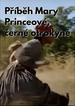 Příběh Mary Princeové, černé otrokyně