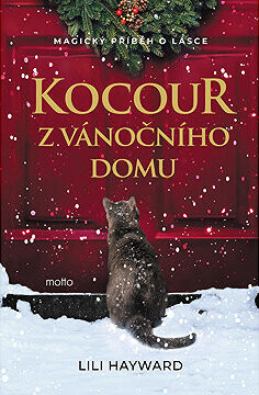 Kocour z vánočního domu