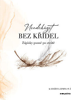 Neodcházet bez křídel