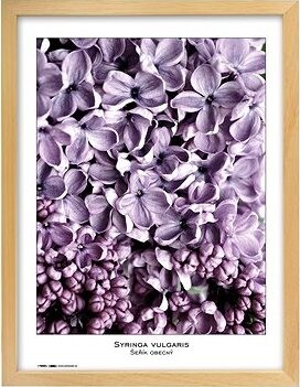 TRADAG Natura 40 x 50 prírodný