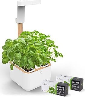 Véritable Botaneo – Automatický kvetináč + 2 bylinkové náplne