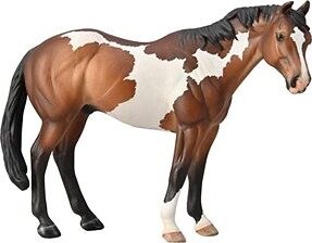Collecta kôň Appaloosa žrebec fľakatý