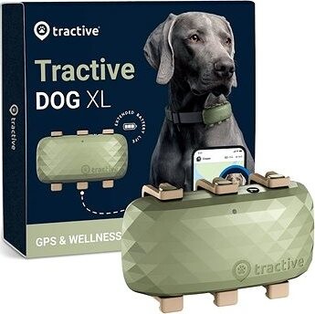 Tractive DOG XL, zelený