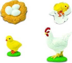 Animal Life Životný cyklus Sliepky