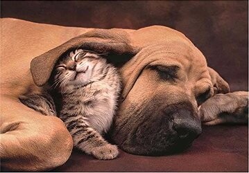 CLEMENTONI Puzzle Maznanie 500 dielikov