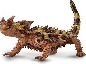 Collecta Moloch tŕnitý