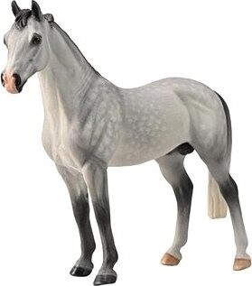 Collecta kôň Hannoverský žrebec