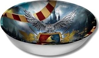 GUIRCA Plastová miska čarodejník – čarodejník Harry – 27 cm