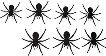 Papierová dekorácia pavúky 12 ks