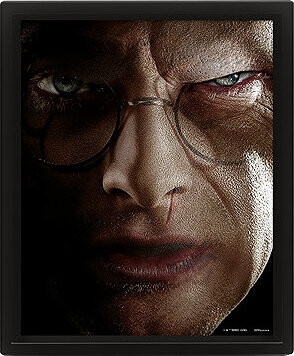 Harry Potter 3D: Harry vs Voldemort – obraz