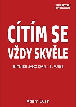 Cítím se vždy skvěle, Intuice jako dar 1. Vjem