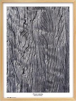 TRADAG Natura 60 x 80 prírodný