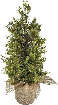 EMOS LED svietiaci stromček, 50 cm, vonkajší aj vnútorný, teplá biela, časovač