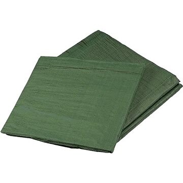 DEN BRAVEN Zakrývacia plachta s kovovými okami Profi zelená 3 × 4 m, 120 g/m2