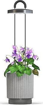 Click and Grow Smart Garden 1 HydroVase, sivý