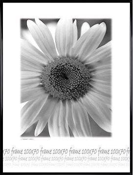 TRADAG Fotorámik 70 × 100 cm, čierny