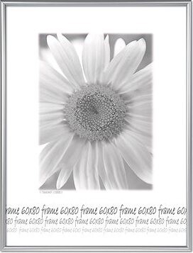 TRADAG Fotorámik 60 × 80 cm, strieborný