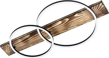 Eglo – LED Stropné svietidlo 2× LED/12 W/230 V