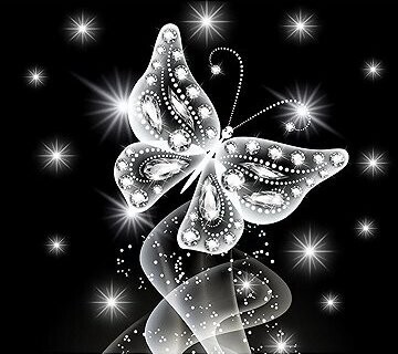 Norimpex 7D Nočný motýľ 30 × 40 cm