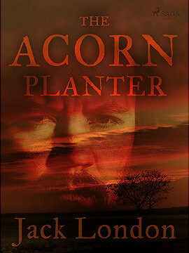 The Acorn Planter