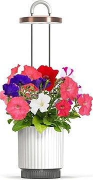 Click and Grow Smart Garden 1 HydroVase, biely