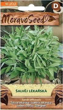 MORAVOSEED CZ Šalvia lekárska