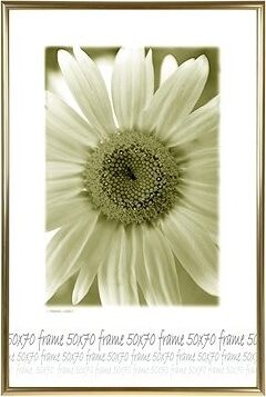 TRADAG Fotorámik 50 × 70 cm, zlatý