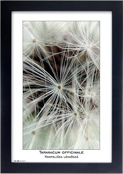 TRADAG Natura 20 x 30 čierny