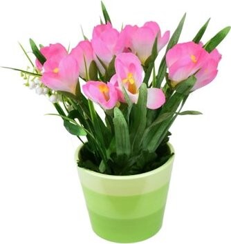 DOMMIO Krokus ružový v keramickom kvetináči 27 × 25 cm