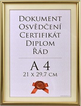 TRADAG Fotorámik 21 × 29,7 cm, zlatý