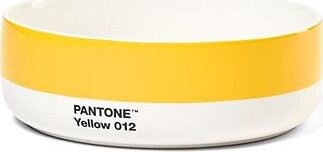 Pantone Polievková miska – Yellow 012