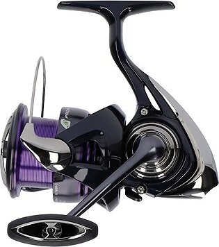 Daiwa 24 Prorex X LT 3000-C