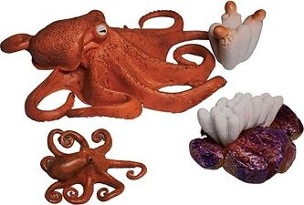 Animal Life Životný cyklus Chobotnice