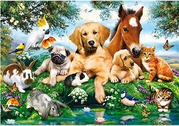 CASTORLAND Puzzle Letní priatelia 500 dielikov