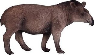 Mojo – Tapír juhoamerický