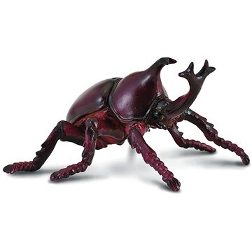 Collecta chrobák Nosorožtek