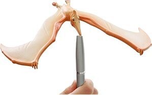 Brainstorm Toys Úžasný balansujúci Pteranodon